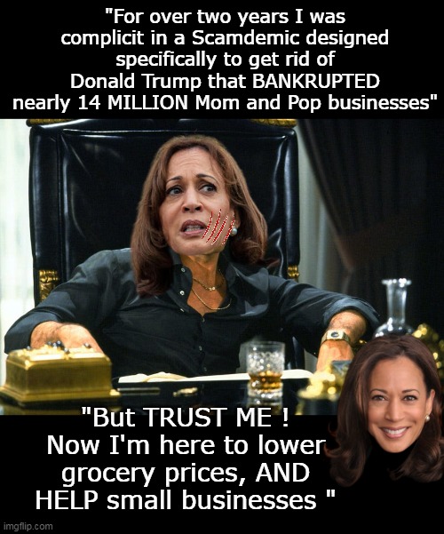 Even Tony Montana would be proud | "For over two years I was complicit in a Scamdemic designed specifically to get rid of Donald Trump that BANKRUPTED nearly 14 MILLION Mom and Pop businesses"; "But TRUST ME !
Now I'm here to lower grocery prices, AND HELP small businesses " | image tagged in kamala scar face meme | made w/ Imgflip meme maker