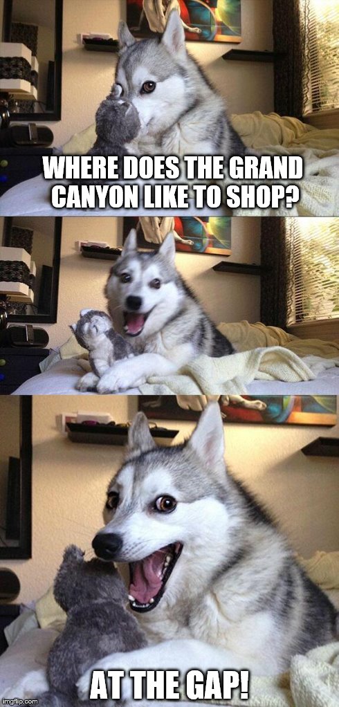 Bad Pun Dog Meme | WHERE DOES THE GRAND CANYON LIKE TO SHOP? AT THE GAP! | image tagged in memes,bad pun dog | made w/ Imgflip meme maker
