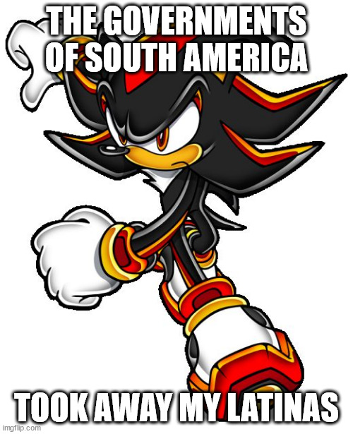 Shadow the hedgehog | THE GOVERNMENTS OF SOUTH AMERICA; TOOK AWAY MY LATINAS | image tagged in shadow the hedgehog | made w/ Imgflip meme maker