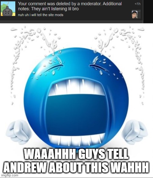 WAAAHHH GUYS TELL ANDREW ABOUT THIS WAHHH | image tagged in crying blue guy | made w/ Imgflip meme maker