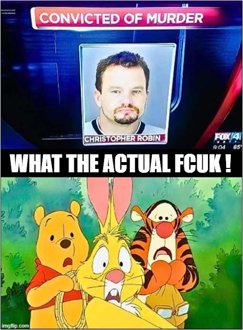 The Horror, The Horror ! | WHAT THE ACTUAL FCUK ! | image tagged in christopher robin,winnie the pooh,wtf,dark humour | made w/ Imgflip meme maker