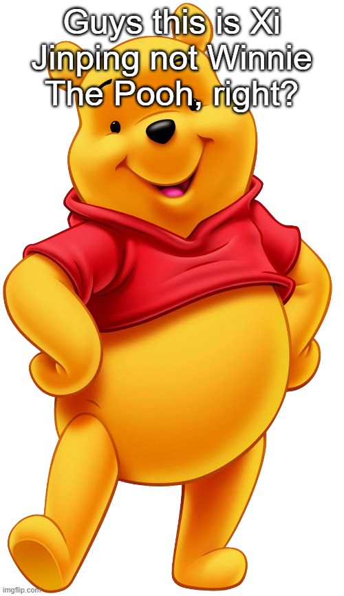 Xi Jinping | Guys this is Xi Jinping not Winnie The Pooh, right? | image tagged in xi jinping | made w/ Imgflip meme maker