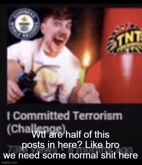 Mr beast commits terrorism | Wtf are half of this posts in here? Like bro we need some normal shit here | image tagged in mr beast commits terrorism | made w/ Imgflip meme maker