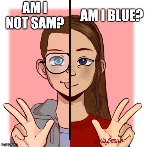 ok | AM I BLUE? AM I NOT SAM? | made w/ Imgflip meme maker