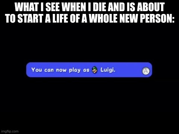 idk what to put here | WHAT I SEE WHEN I DIE AND IS ABOUT TO START A LIFE OF A WHOLE NEW PERSON: | image tagged in you can now play as luigi | made w/ Imgflip meme maker