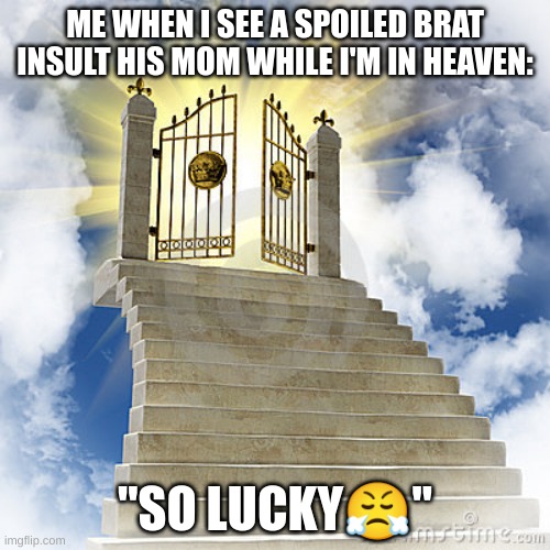 huh... | ME WHEN I SEE A SPOILED BRAT INSULT HIS MOM WHILE I'M IN HEAVEN:; "SO LUCKY😤" | image tagged in heaven gates | made w/ Imgflip meme maker