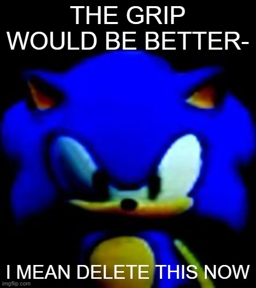 sonic stare | THE GRIP WOULD BE BETTER- I MEAN DELETE THIS NOW | image tagged in sonic stare | made w/ Imgflip meme maker