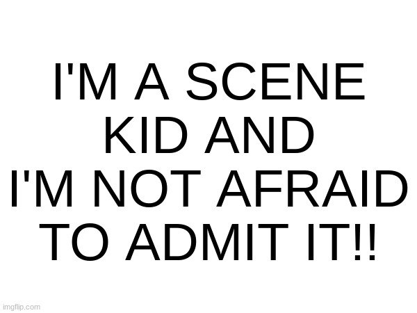 if you could see what i wear to school everyday... | I'M A SCENE KID AND I'M NOT AFRAID TO ADMIT IT!! | image tagged in scene kids | made w/ Imgflip meme maker