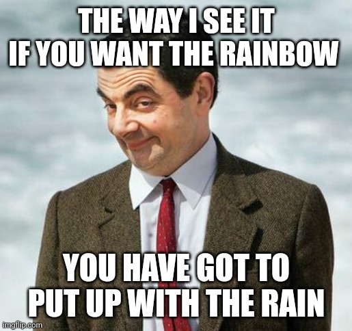 Put up with the rain | THE WAY I SEE IT IF YOU WANT THE RAINBOW; YOU HAVE GOT TO PUT UP WITH THE RAIN | image tagged in mr bean,funny memes | made w/ Imgflip meme maker