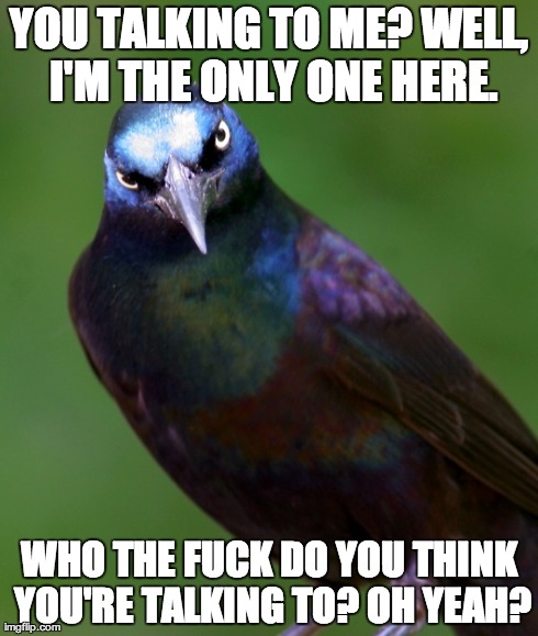 YOU TALKING TO ME? WELL, I'M THE ONLY ONE HERE. WHO THE F**K DO YOU THINK YOU'RE TALKING TO? OH YEAH? | made w/ Imgflip meme maker