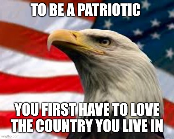 So far ....MAGA  supporters are it | TO BE A PATRIOTIC; YOU FIRST HAVE TO LOVE THE COUNTRY YOU LIVE IN | image tagged in murica patriotic eagle | made w/ Imgflip meme maker