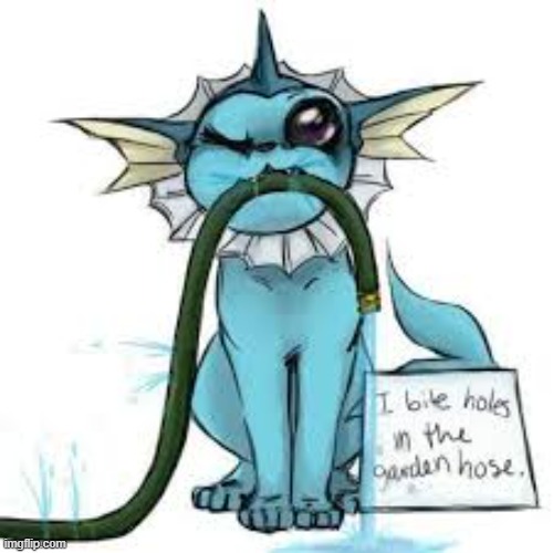 Vaporeon | image tagged in vaporeon | made w/ Imgflip meme maker