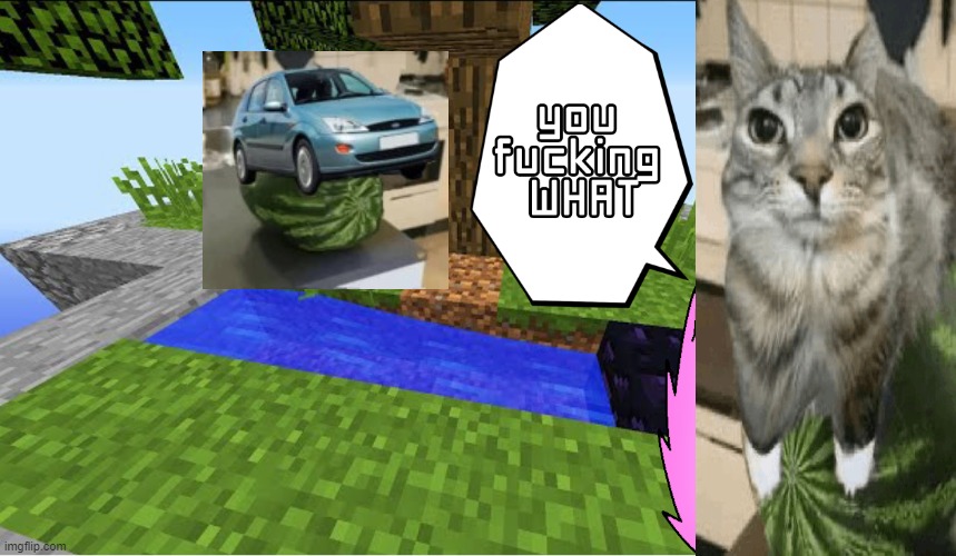Top 10 minecraft fails | image tagged in top 10 minecraft fails | made w/ Imgflip meme maker