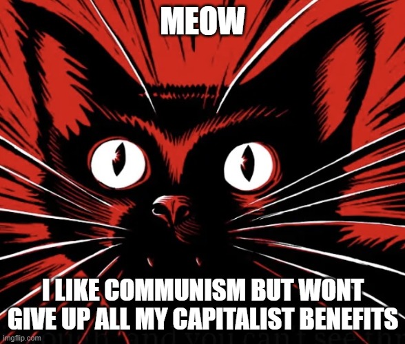 Sabo tabby cat | MEOW; I LIKE COMMUNISM BUT WONT GIVE UP ALL MY CAPITALIST BENEFITS | image tagged in sabo tabby cat | made w/ Imgflip meme maker