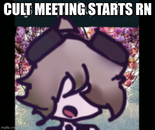 Or... whenever you people are ready | CULT MEETING STARTS RN | image tagged in the silly | made w/ Imgflip meme maker