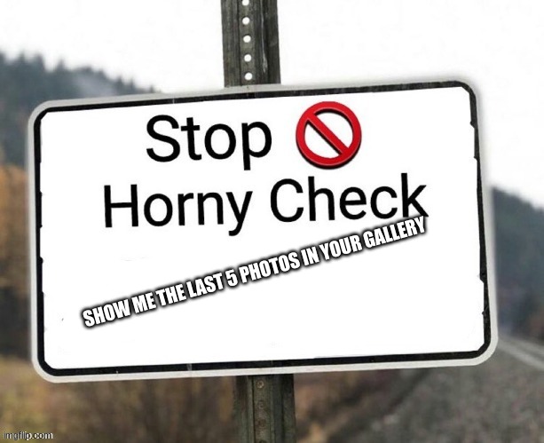 Stop Horny Check Sign | SHOW ME THE LAST 5 PHOTOS IN YOUR GALLERY | image tagged in stop horny check sign | made w/ Imgflip meme maker