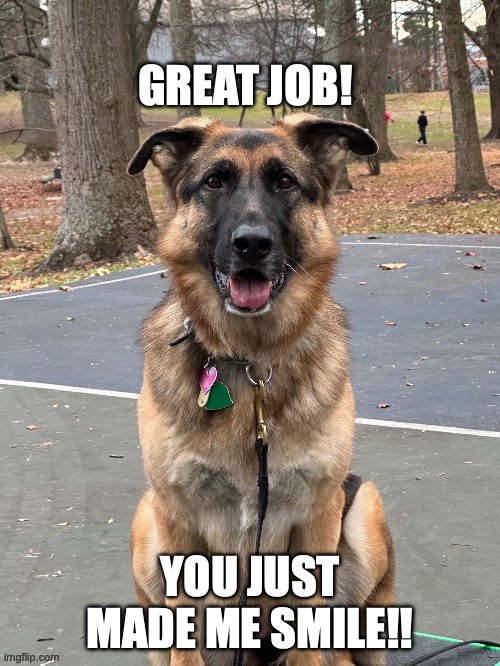 PUP | GREAT JOB! YOU JUST MADE ME SMILE!! | image tagged in puppies and kittens | made w/ Imgflip meme maker