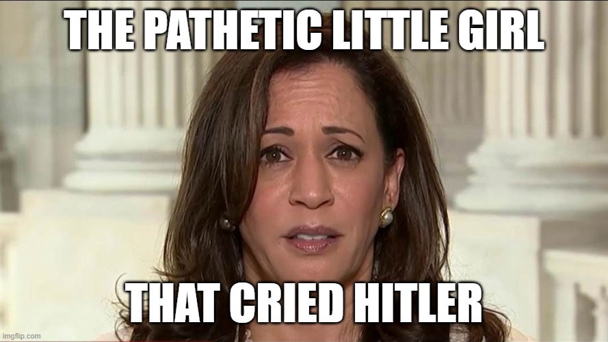 Hitler hitler hitler... | THE PATHETIC LITTLE GIRL; THAT CRIED HITLER | image tagged in kamala harris | made w/ Imgflip meme maker