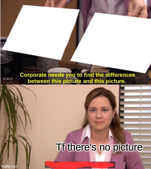 They're The Same Picture Meme | Tf there's no picture | image tagged in memes,they're the same picture | made w/ Imgflip meme maker