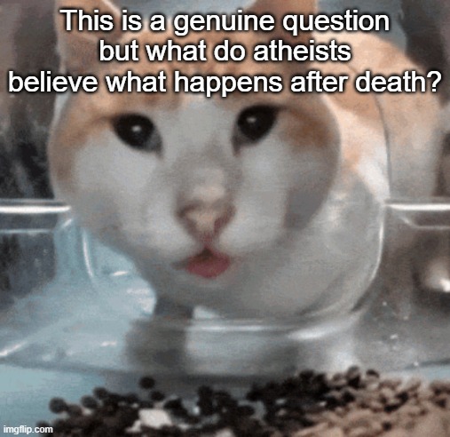 pure "nothing" or smh? | This is a genuine question but what do atheists believe what happens after death? | image tagged in mr shock stare | made w/ Imgflip meme maker