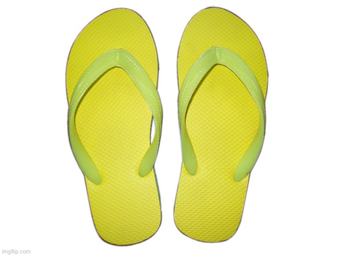 Flip Flops | image tagged in flip flops | made w/ Imgflip meme maker