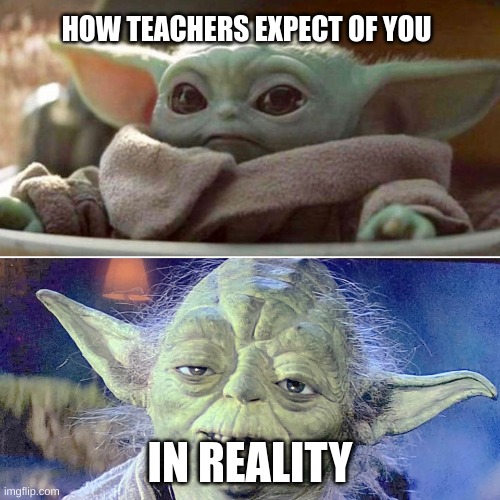 did anyone feel this way! | HOW TEACHERS EXPECT OF YOU; IN REALITY | image tagged in baby yoda vs old yoda | made w/ Imgflip meme maker