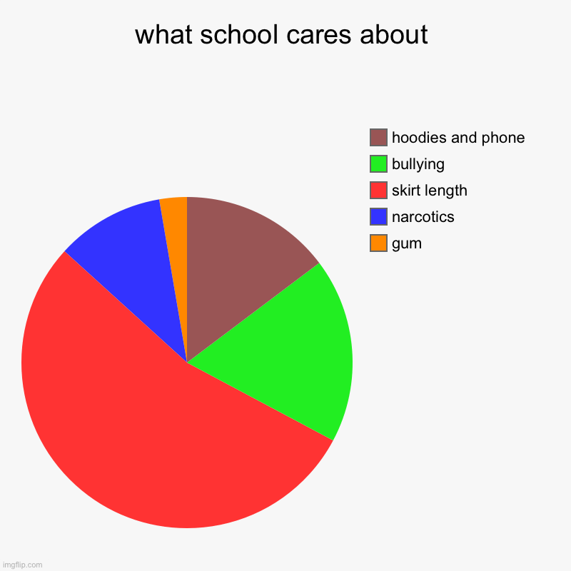 What school cares about | what school cares about | gum, narcotics , skirt length, bullying, hoodies and phone | image tagged in charts,pie charts | made w/ Imgflip chart maker