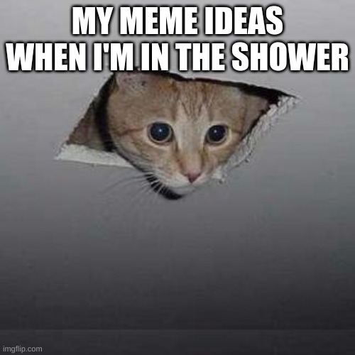 Ceiling Cat | MY MEME IDEAS WHEN I'M IN THE SHOWER | image tagged in memes,ceiling cat | made w/ Imgflip meme maker