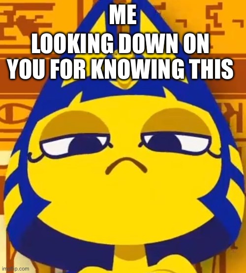 Really bro | ME; LOOKING DOWN ON YOU FOR KNOWING THIS | image tagged in ankha zone | made w/ Imgflip meme maker