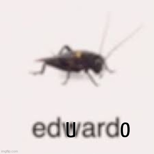 if yk yk. (hint: edds....) | o; u | image tagged in low quality bug | made w/ Imgflip meme maker