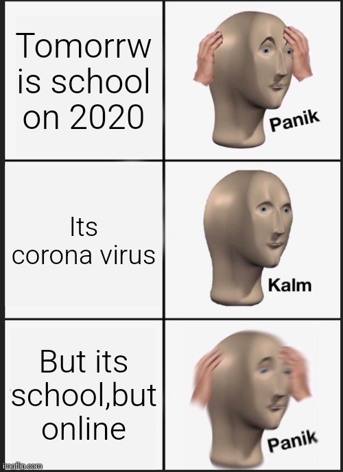 School | Tomorrw is school on 2020; Its corona virus; But its school,but online | image tagged in memes,panik kalm panik | made w/ Imgflip meme maker