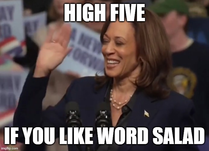 HIGH FIVE; IF YOU LIKE WORD SALAD | made w/ Imgflip meme maker