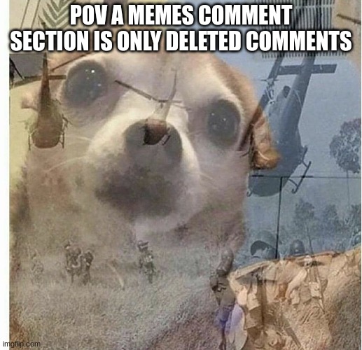 there was sum serious beef in there | POV A MEMES COMMENT SECTION IS ONLY DELETED COMMENTS | image tagged in ptsd chihuahua | made w/ Imgflip meme maker