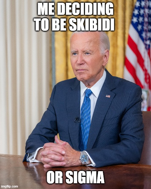 It's Joever | ME DECIDING TO BE SKIBIDI; OR SIGMA | image tagged in funny memes | made w/ Imgflip meme maker