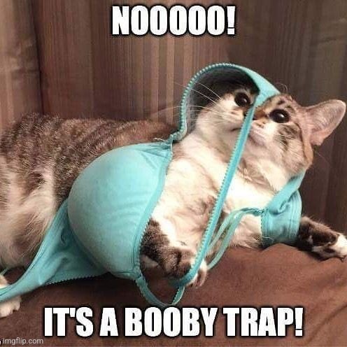 Breast Cancer Awareness Month - Don't fall into a booby trap | image tagged in booby trap,expanding bra | made w/ Imgflip meme maker