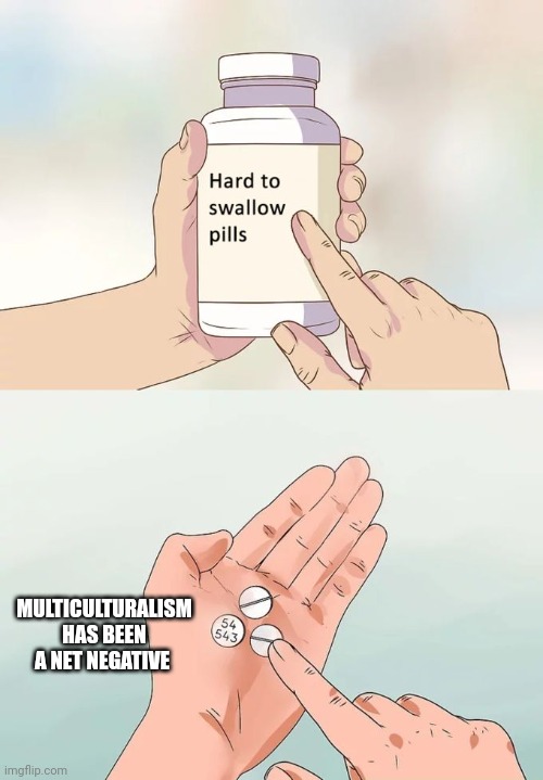 Prove me wrong. | MULTICULTURALISM HAS BEEN A NET NEGATIVE | image tagged in memes,hard to swallow pills | made w/ Imgflip meme maker