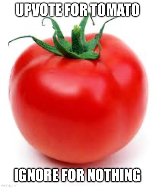 tomato | UPVOTE FOR TOMATO; IGNORE FOR NOTHING | image tagged in tomato | made w/ Imgflip meme maker