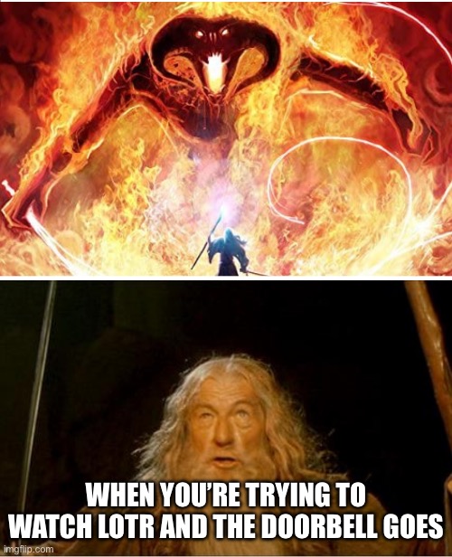 LoTR Door Bell | WHEN YOU’RE TRYING TO WATCH LOTR AND THE DOORBELL GOES | image tagged in gandalf vs balrog | made w/ Imgflip meme maker