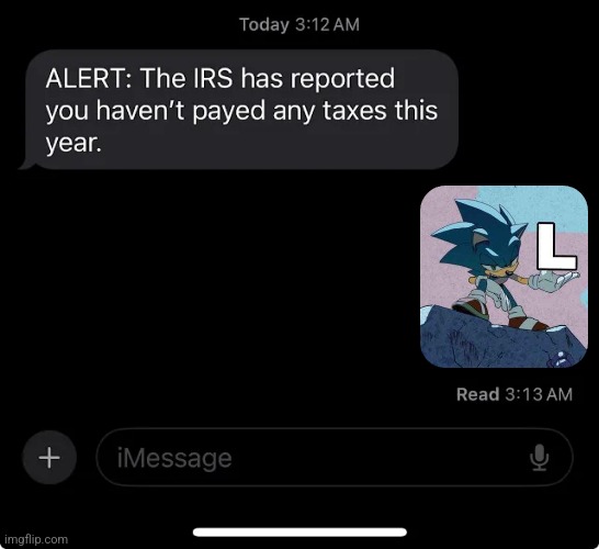 IRS report | image tagged in irs report | made w/ Imgflip meme maker