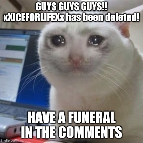 nooooooooooooooooooooooooooooooooooooooooooo | GUYS GUYS GUYS!!
xXICEFORLIFEXx has been deleted! HAVE A FUNERAL IN THE COMMENTS | image tagged in crying cat,sobbing intensely,user deleted | made w/ Imgflip meme maker