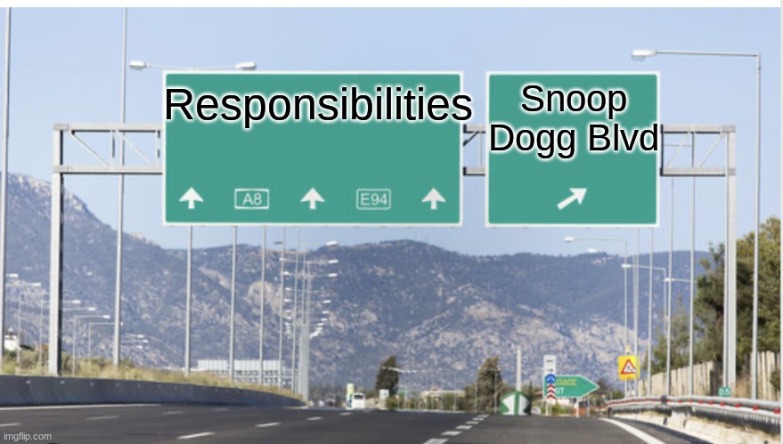 Snoop Dogg | Snoop Dogg Blvd; Responsibilities | image tagged in which highway exit | made w/ Imgflip meme maker