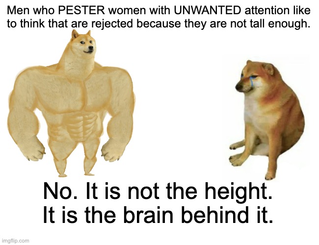 MEN | Men who PESTER women with UNWANTED attention like to think that are rejected because they are not tall enough. No. It is not the height. It is the brain behind it. | image tagged in memes,buff doge vs cheems | made w/ Imgflip meme maker