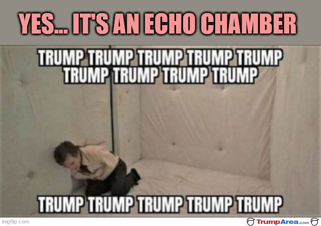 YES... IT'S AN ECHO CHAMBER | made w/ Imgflip meme maker