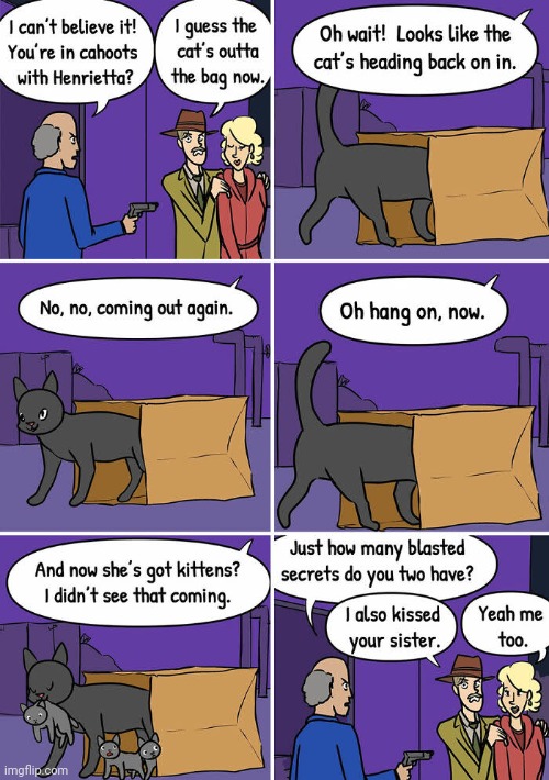 Secrets | image tagged in secret,secrets,kitten,cats,comics,comics/cartoons | made w/ Imgflip meme maker