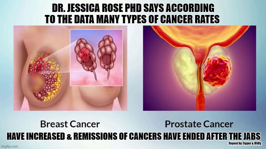 DR. JESSICA ROSE PHD SAYS ACCORDING TO THE DATA MANY TYPES OF CANCER RATES; HAVE INCREASED & REMISSIONS OF CANCERS HAVE ENDED AFTER THE JABS; Repost by Tigger & Willy | made w/ Imgflip meme maker