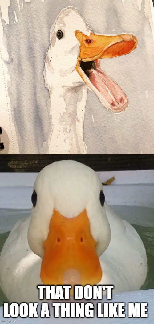 Duck Drawing | THAT DON'T LOOK A THING LIKE ME | image tagged in ducks | made w/ Imgflip meme maker