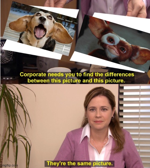 Mogwi!!! | image tagged in memes,they're the same picture | made w/ Imgflip meme maker