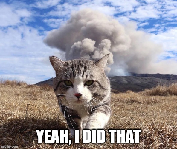 Catsplosion | YEAH, I DID THAT | image tagged in cats | made w/ Imgflip meme maker