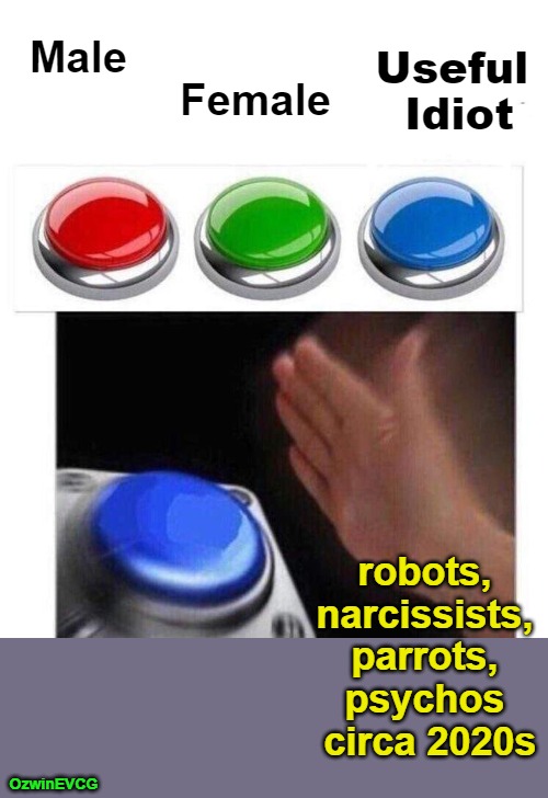 If You Have "Pronouns" You May Also Want to Meet Your "Pronouns" Dealers in -The Transgender Industrial Complex-. | Useful 

Idiot; Female; Male; robots, 

narcissists, 

parrots, 

psychos 

circa 2020s; OzwinEVCG | image tagged in 3 buttons,transgenderism,sounds like communist propaganda,tools,invasion of the mind snatchers,clown world | made w/ Imgflip meme maker