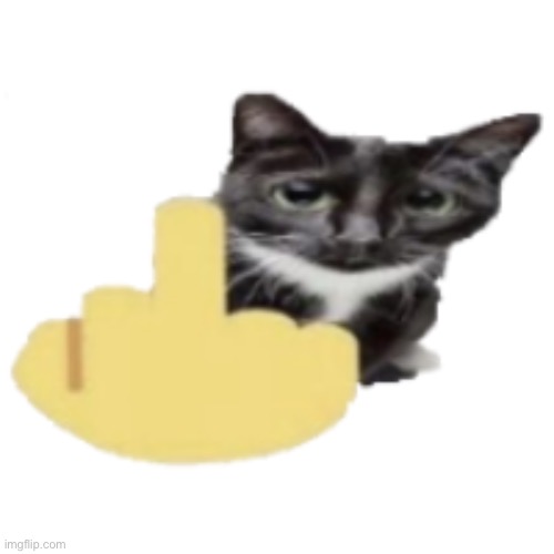 cat holding up middle finger | image tagged in cat holding up middle finger | made w/ Imgflip meme maker